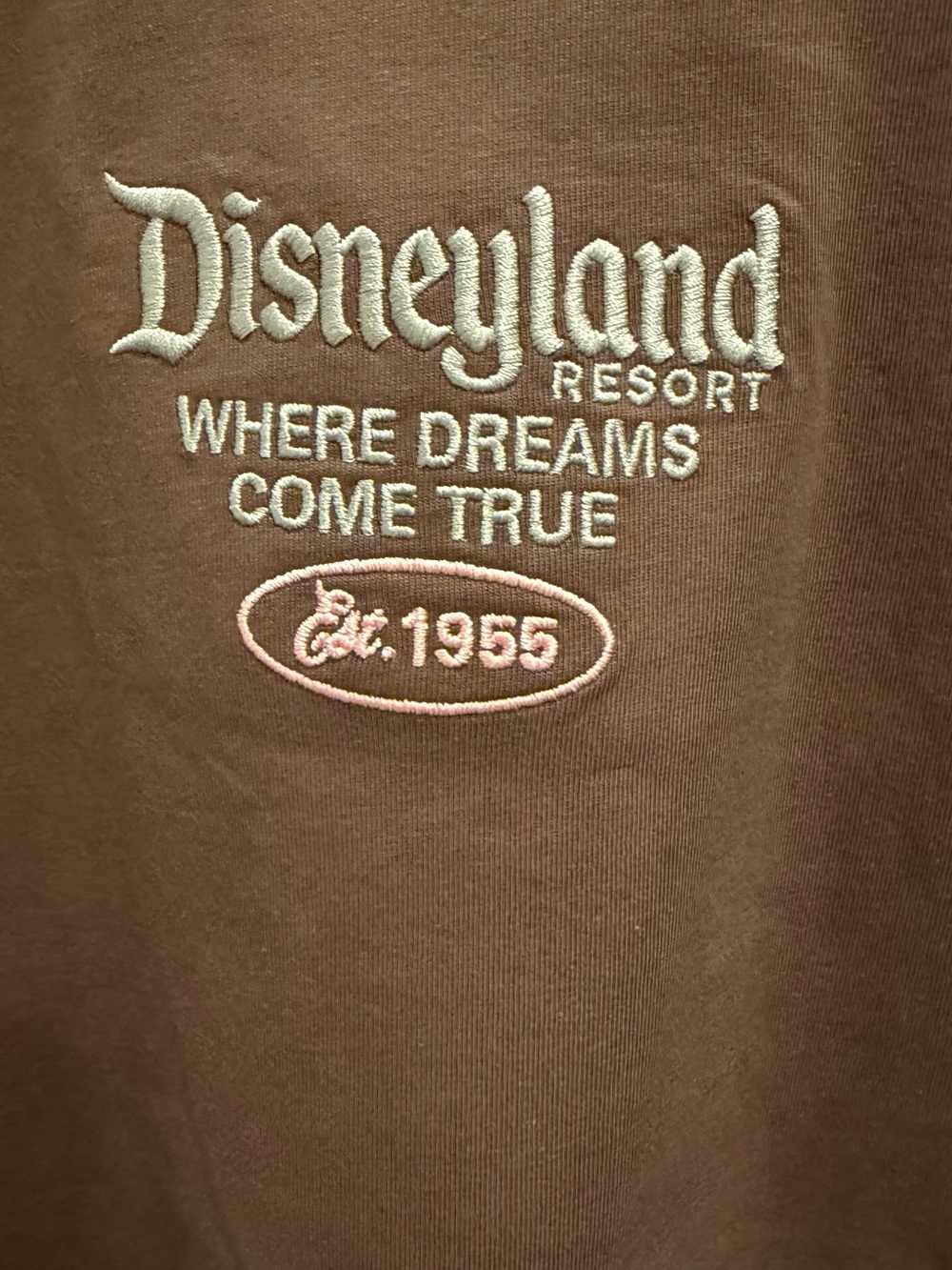 Disneyland Oversized where dreams come true graphic t-shirt NWT XL new to park - Picture 7 of 8